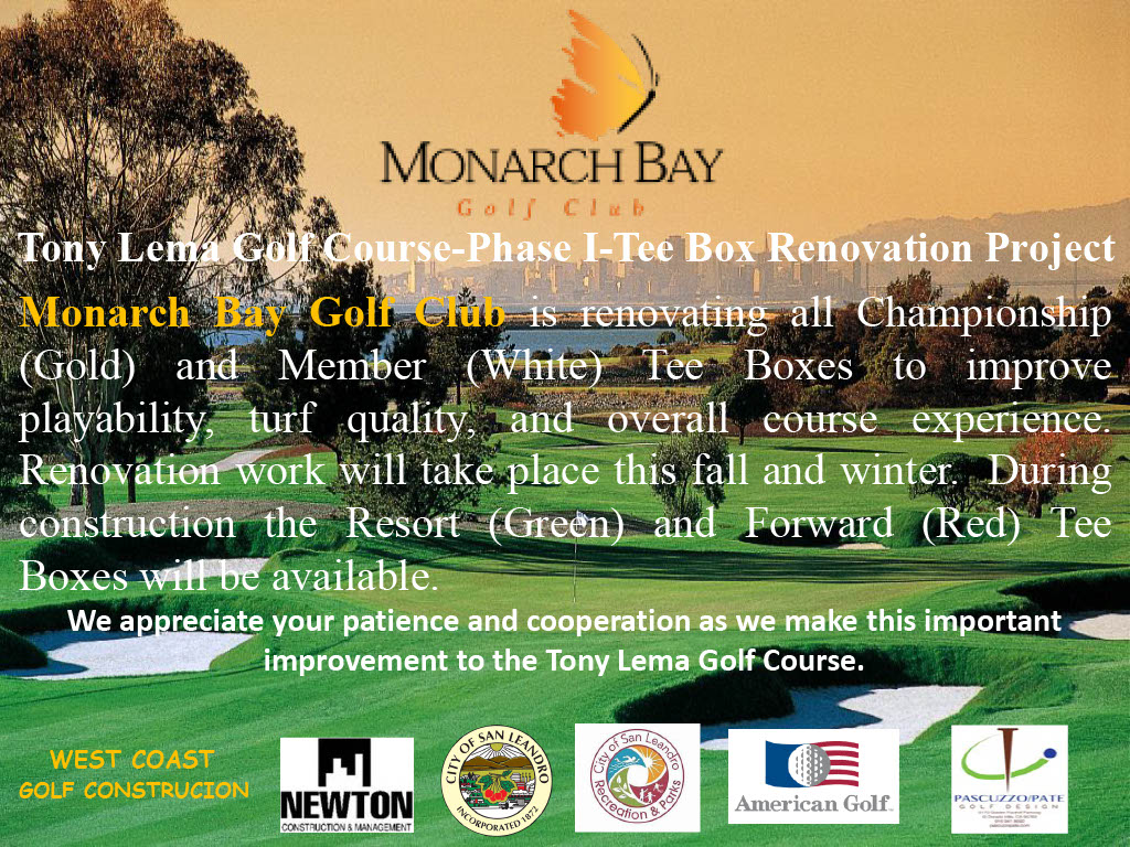 1771445695900 aaa1e1a0 7d4e 4444 b02d f5af2e419e27 1 1771445695900 aaa1e1a0 7d4e 4444 b02d f5af2e419e27 1